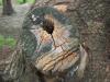 <img100*0:stuff/aj/42000/1282759071.jpg>