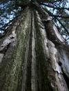 <img100*0:stuff/aj/42000/1282759778.jpg>