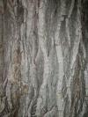 <img100*0:stuff/aj/42000/1282759791.jpg>