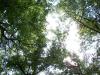 <img100*0:stuff/aj/42000/1282759805.jpg>