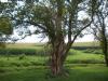<img100*0:stuff/aj/42000/1282759852.jpg>