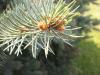 <img100*0:stuff/aj/42000/1282760371.jpg>
