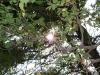 <img100*0:stuff/aj/42000/1282760380.jpg>