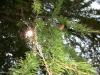 <img100*0:stuff/aj/42000/1282760395.jpg>