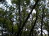 <img100*0:stuff/aj/42000/1282760402.jpg>