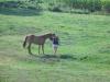 <img100*0:stuff/aj/42000/1282779461.jpg>