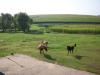 <img100*0:stuff/aj/42000/1282779505.jpg>