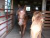 <img100*0:stuff/aj/42000/1282779527.jpg>