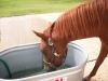 <img100*0:stuff/aj/42000/1282779538.jpg>