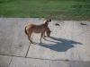 <img100*0:stuff/aj/42000/1282779579.jpg>