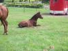 <img100*0:stuff/aj/42000/1282779719.jpg>