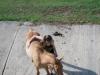 <img100*0:stuff/aj/42000/1282779764.jpg>