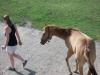 <img100*0:stuff/aj/42000/1282779780.jpg>