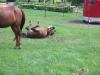 <img100*0:stuff/aj/42000/1282779801.jpg>
