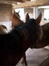 <img100*0:stuff/aj/42000/1282779807.jpg>