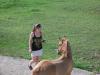 <img100*0:stuff/aj/42000/1282779925.jpg>