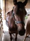 <img100*0:stuff/aj/42000/1282779990.jpg>