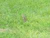 <img100*0:stuff/aj/42000/1282829658.jpg>