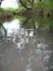 Country Stream