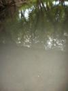 <img100*0:stuff/aj/42000/1282830600.jpg>