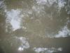 <img100*0:stuff/aj/42000/1282830613.jpg>