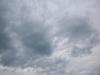 <img100*0:stuff/aj/42000/1282831211.jpg>