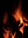 <img100*0:stuff/aj/42000/1282923468.jpg>