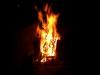 <img100*0:stuff/aj/42000/1282923506.jpg>