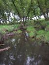<img100*0:stuff/aj/42000/1283114115.jpg>