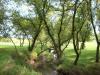 <img100*0:stuff/aj/42000/1283114165.jpg>