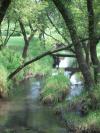 <img100*0:stuff/aj/42000/1283114285.jpg>