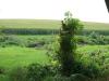 <img100*0:stuff/aj/42000/1283114330.jpg>