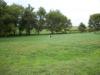 <img100*0:stuff/aj/42000/1283114338.jpg>