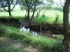 <img100*0:stuff/aj/42000/1283114357.jpg>