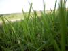 <img100*0:stuff/aj/42000/1283114541.jpg>