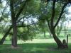<img100*0:stuff/aj/42000/1283114549.jpg>