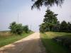 <img100*0:stuff/aj/42000/1283114579.jpg>