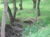 <img100*0:stuff/aj/42000/1283114595.jpg>