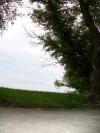 <img100*0:stuff/aj/42000/1283114627.jpg>