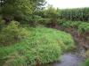 <img100*0:stuff/aj/42000/1283114895.jpg>