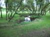 <img100*0:stuff/aj/42000/1283114906.jpg>