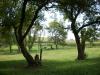 <img100*0:stuff/aj/42000/1283114913.jpg>