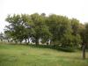 <img100*0:stuff/aj/42000/1283114962.jpg>