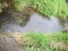 <img100*0:stuff/aj/42000/1283114970.jpg>