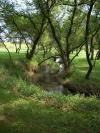 <img100*0:stuff/aj/42000/1283114981.jpg>