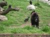 <img100*0:stuff/aj/42000/1283115427.jpg>