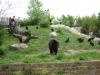 <img100*0:stuff/aj/42000/1283115460.jpg>