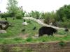 <img100*0:stuff/aj/42000/1283115479.jpg>