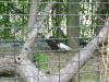 <img100*0:stuff/aj/42000/1283115927.jpg>