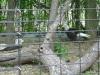 <img100*0:stuff/aj/42000/1283115979.jpg>